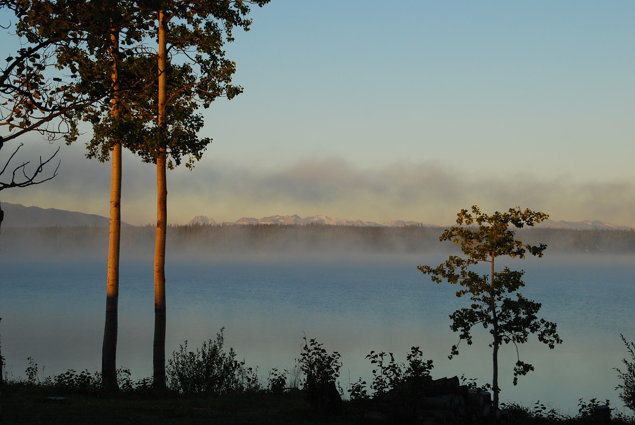 morgenstimmung lake fog free photo