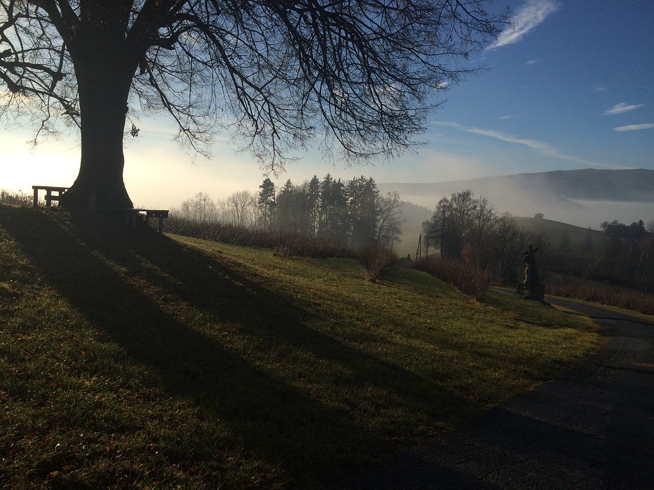 morgenstimmung autumn fog free photo