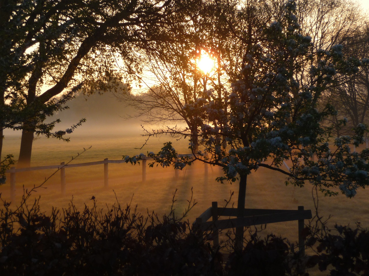 morgenstimmung sunrise fog free photo