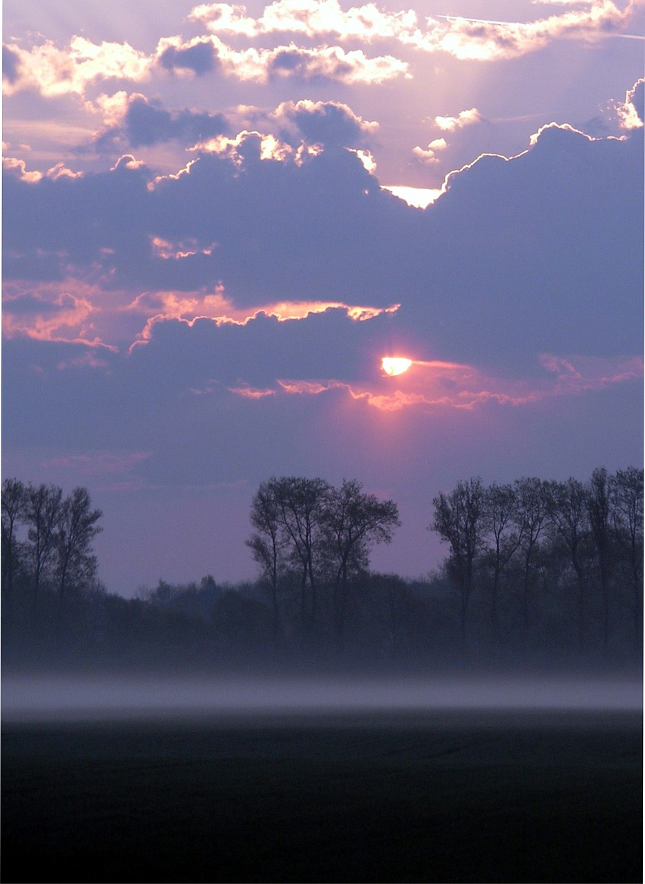morgenstimmung morning mist sunrise free photo