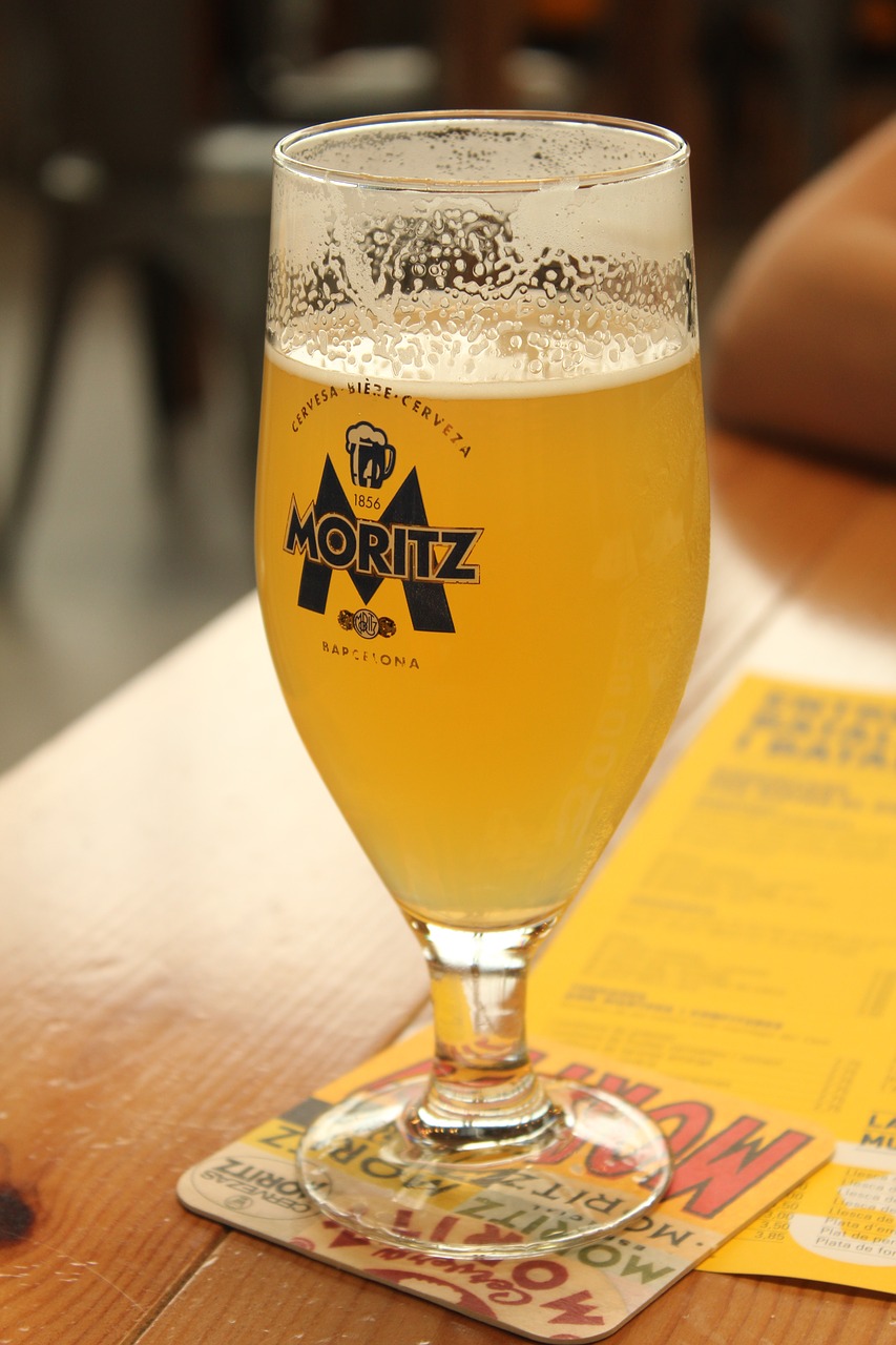 moritz beer cane free photo
