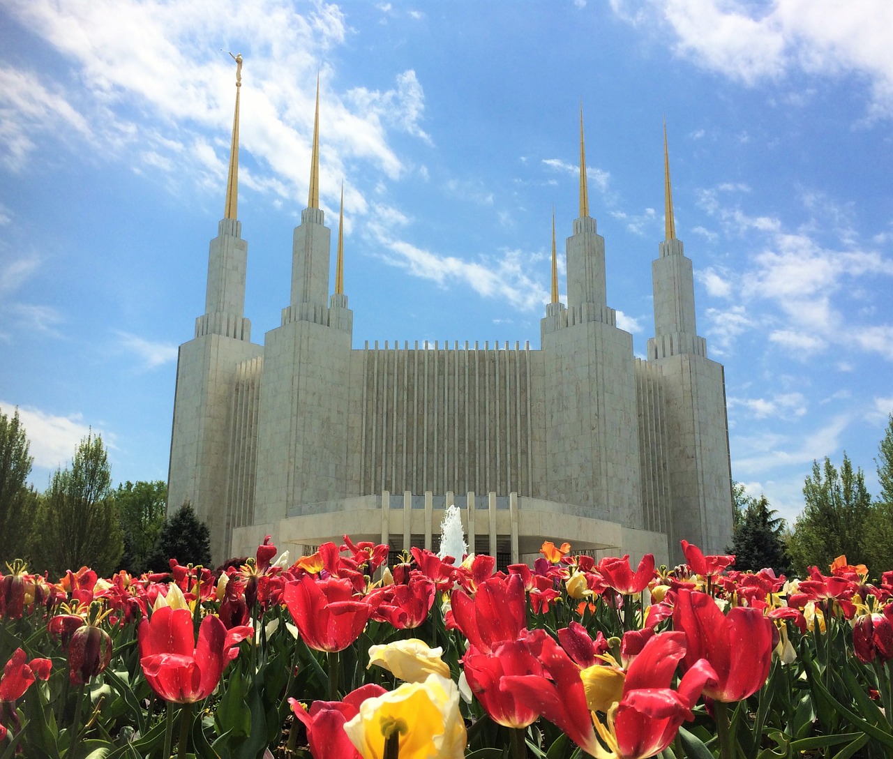 mormon lds temple free photo