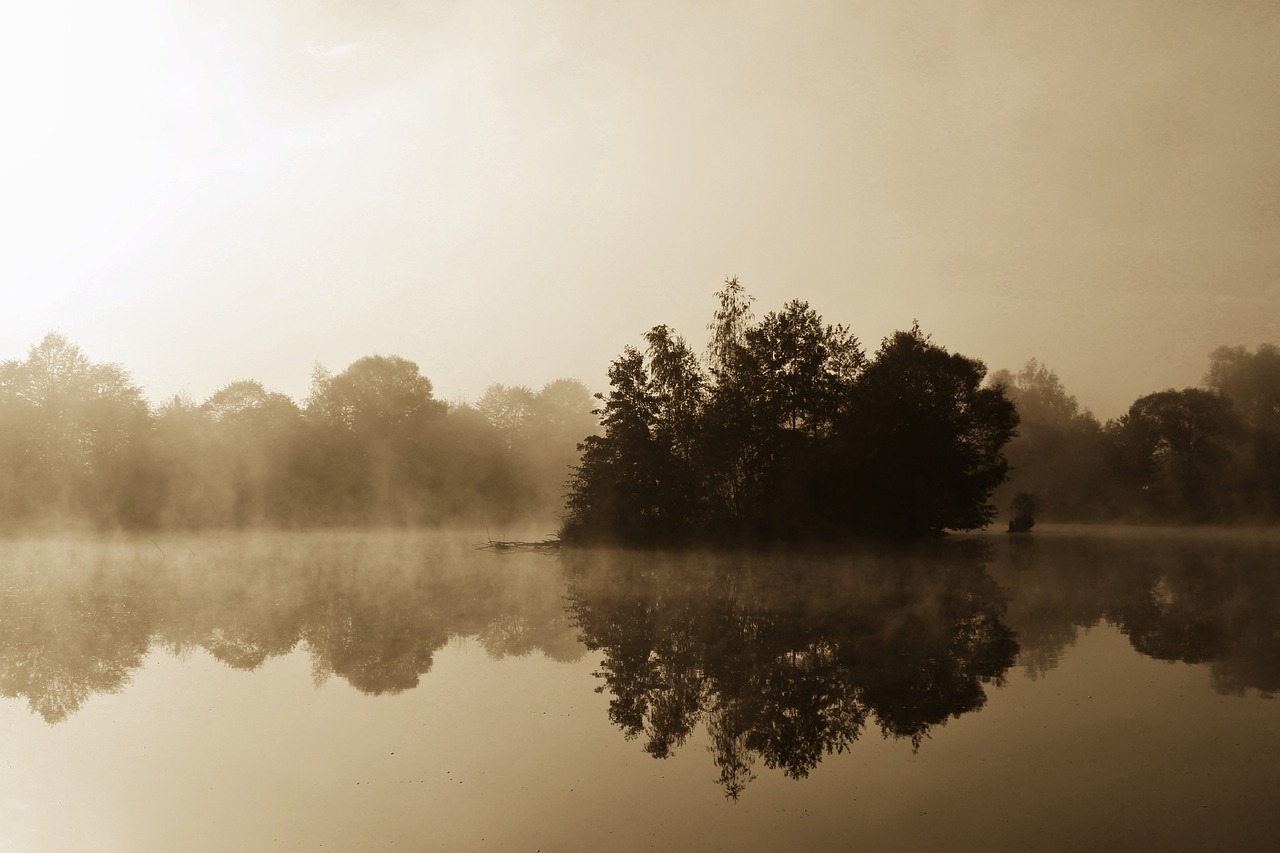 morning nature the fog free photo