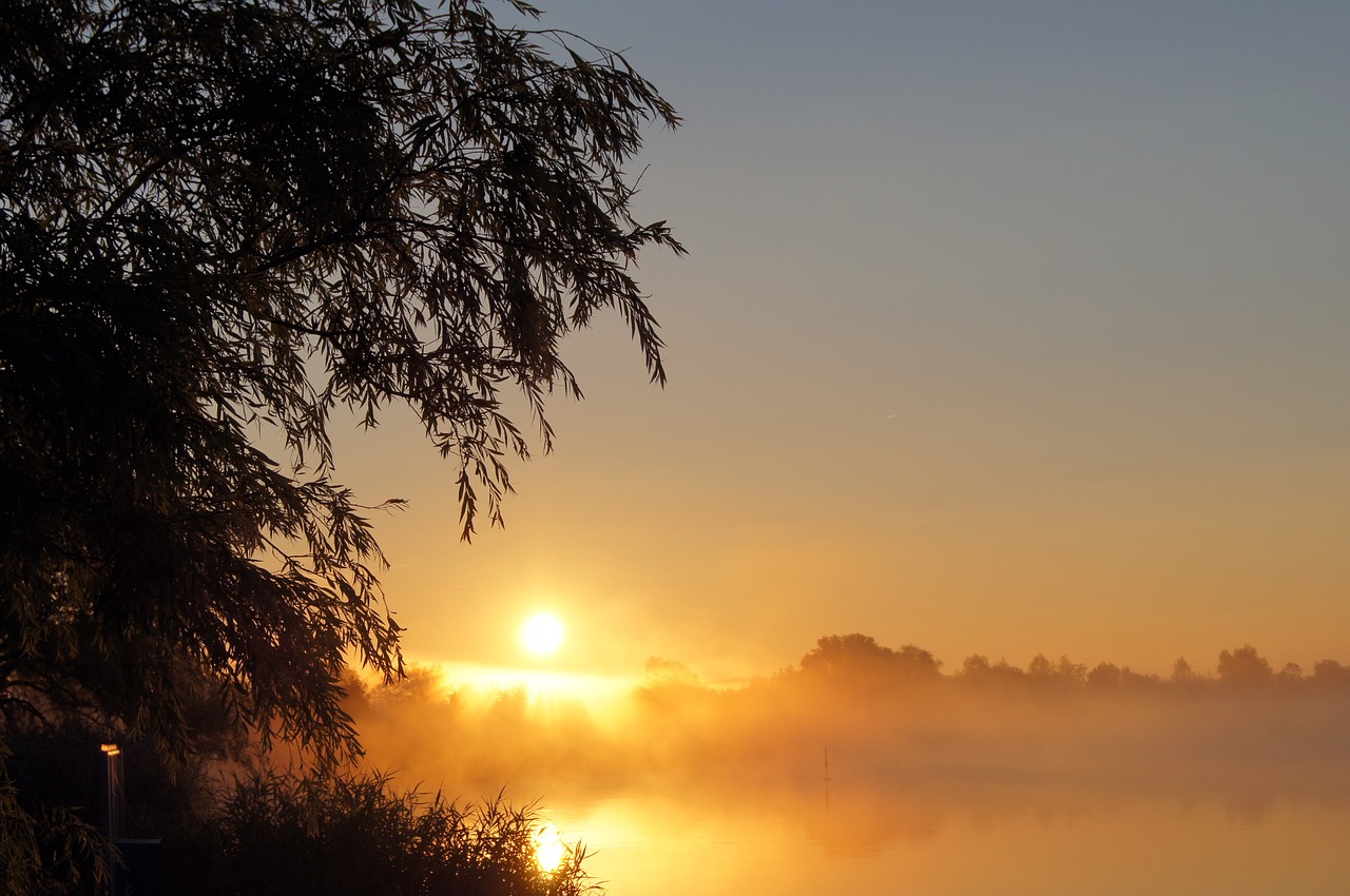 morning sunrise morgenstimmung free photo