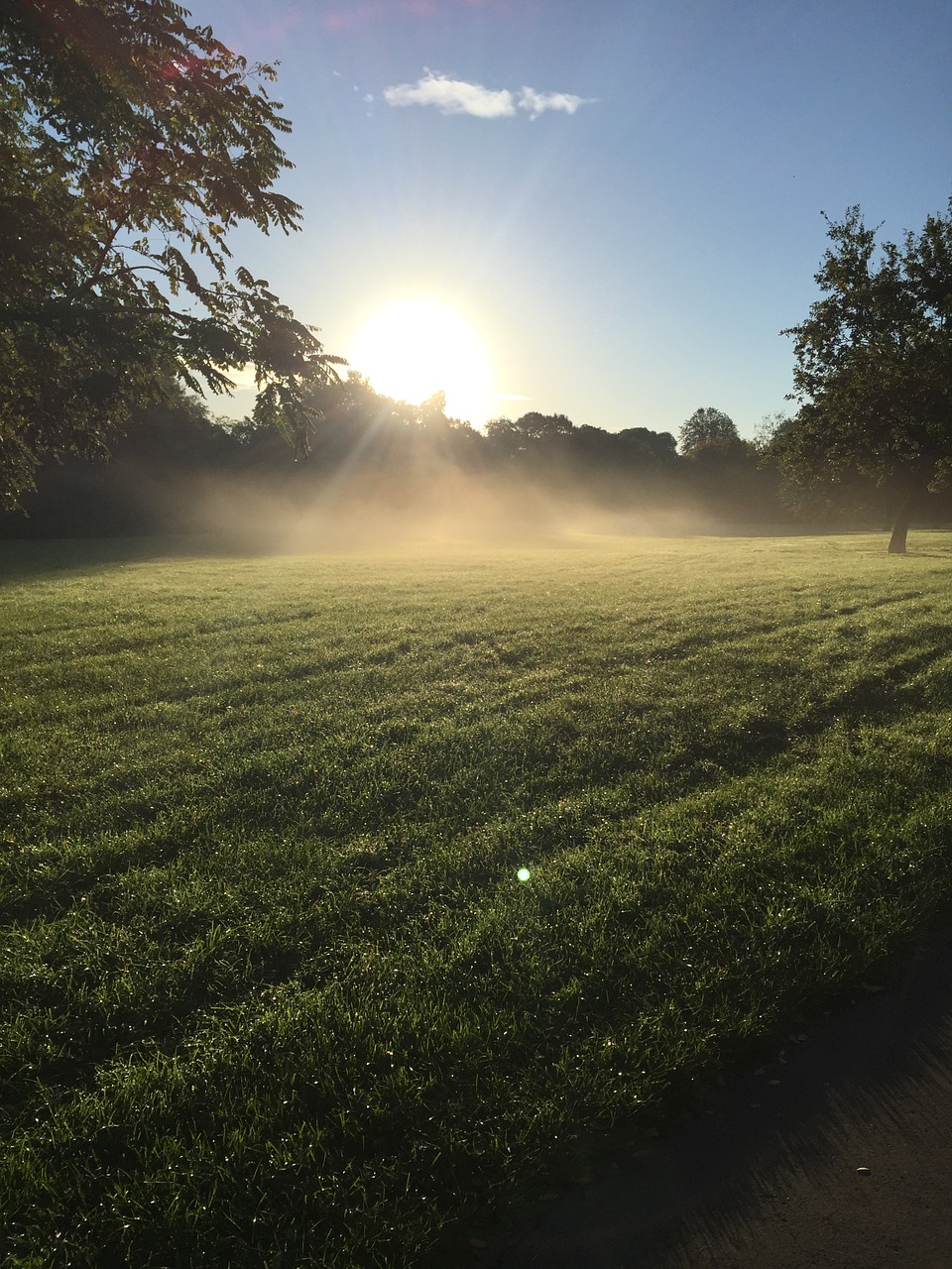 morning mist fog free photo