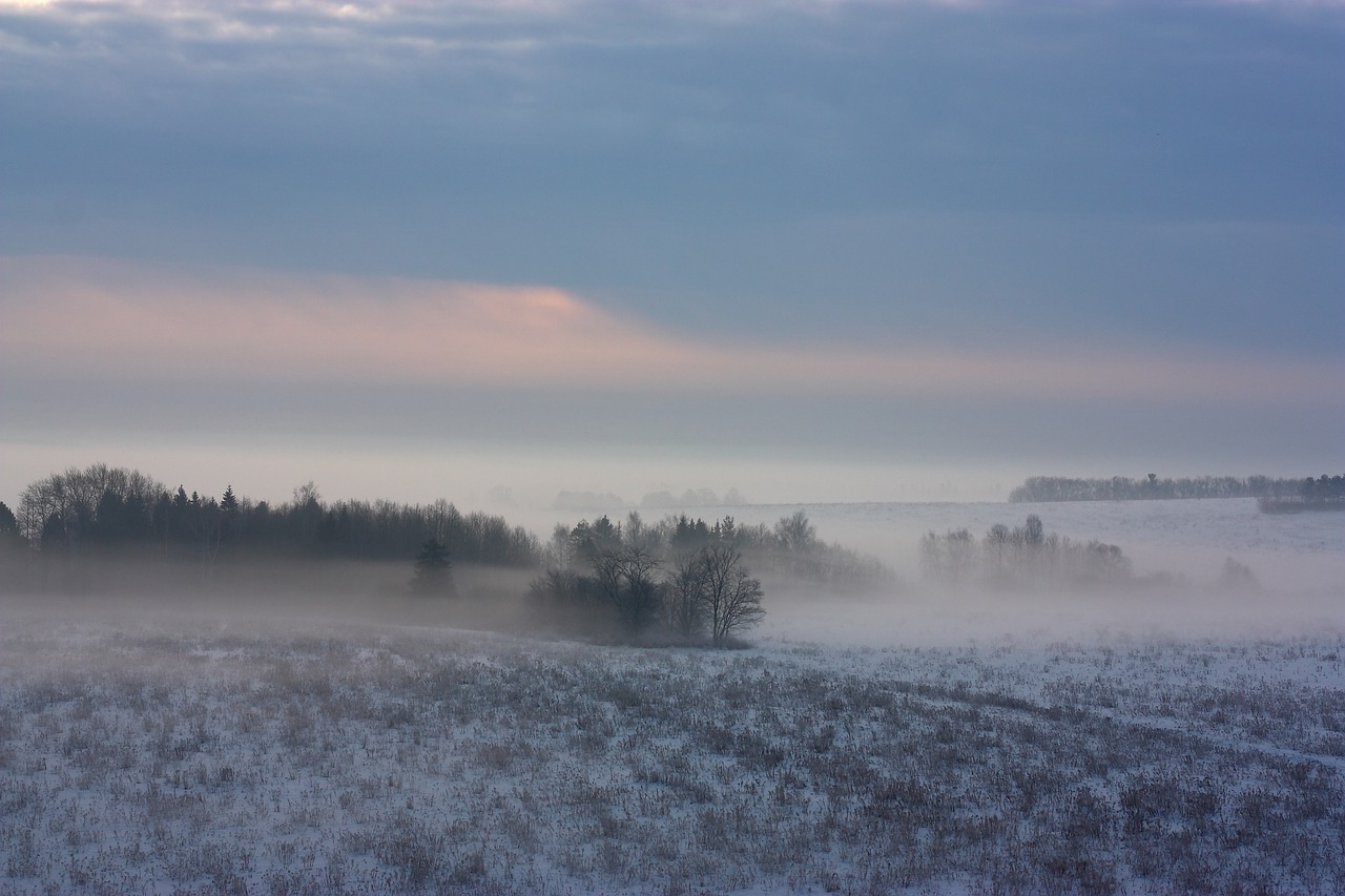 morning fog winter free photo