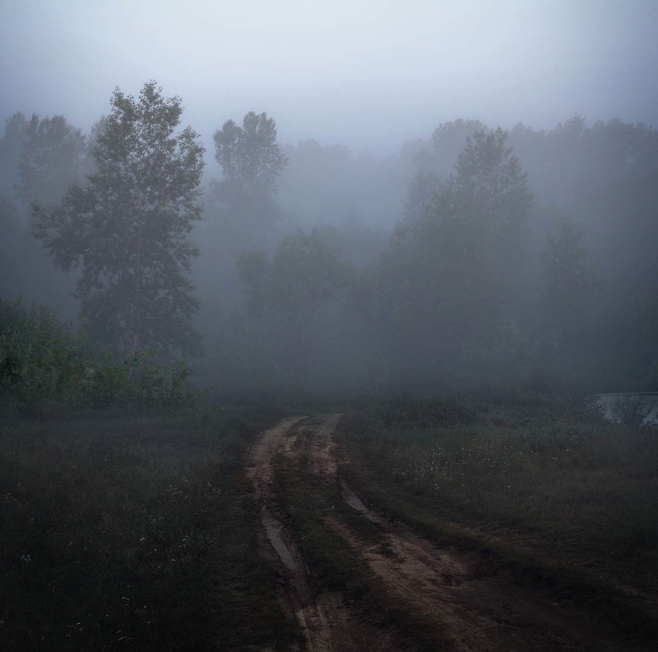 morning fog road free photo
