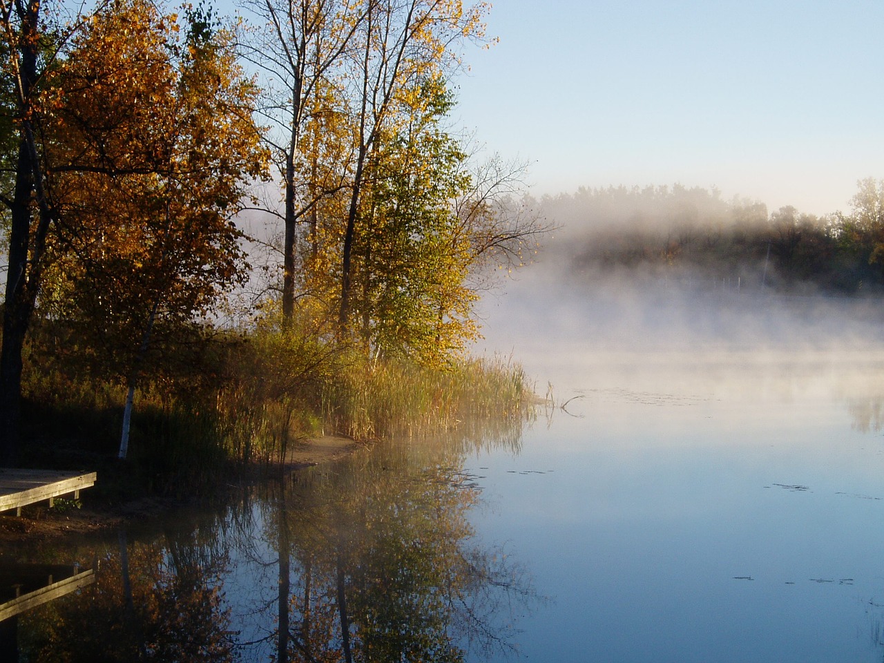 morning at the lake free photo