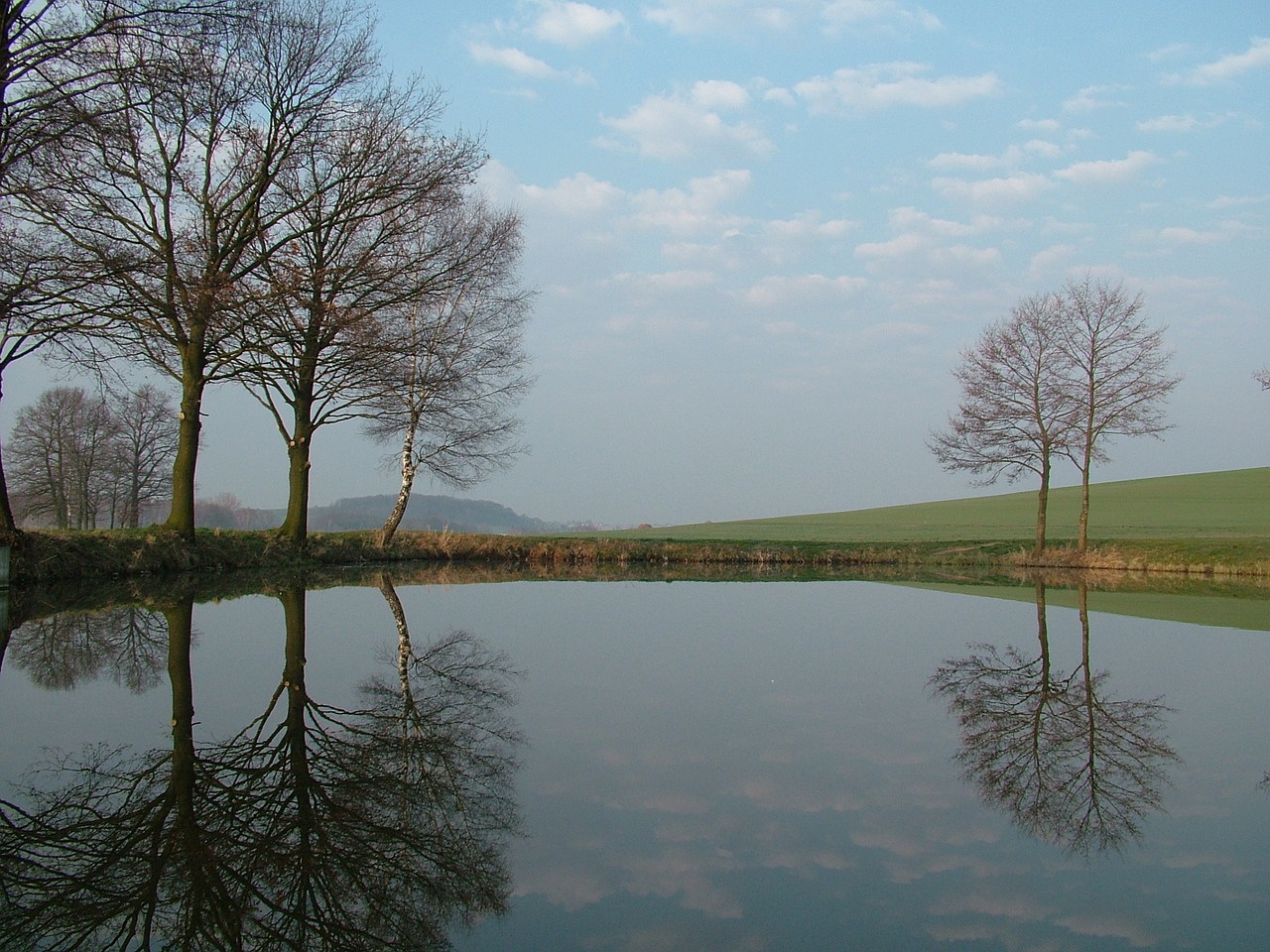 morning pond trees free photo