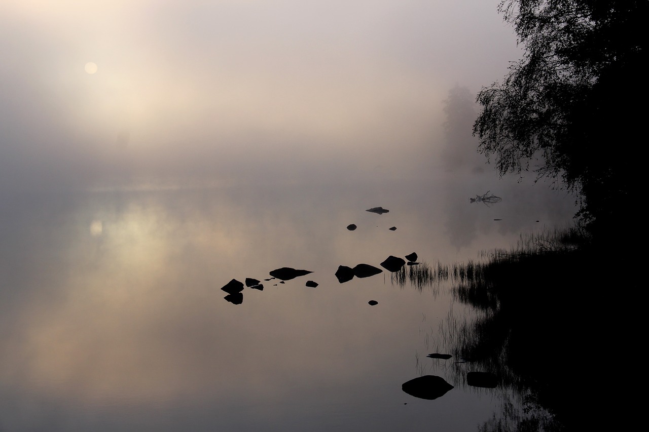 morning mist lake free photo