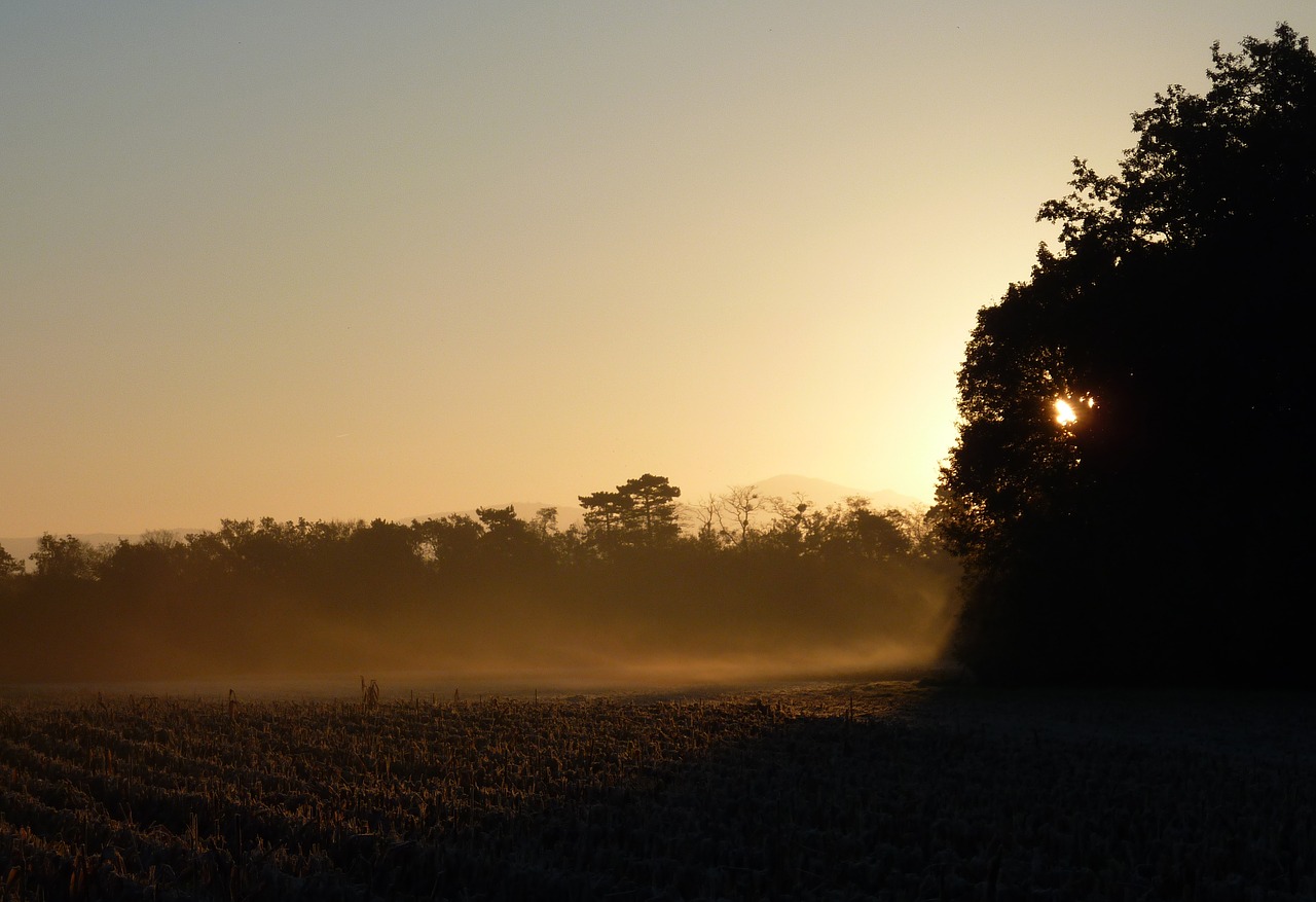 morning sun cold free photo