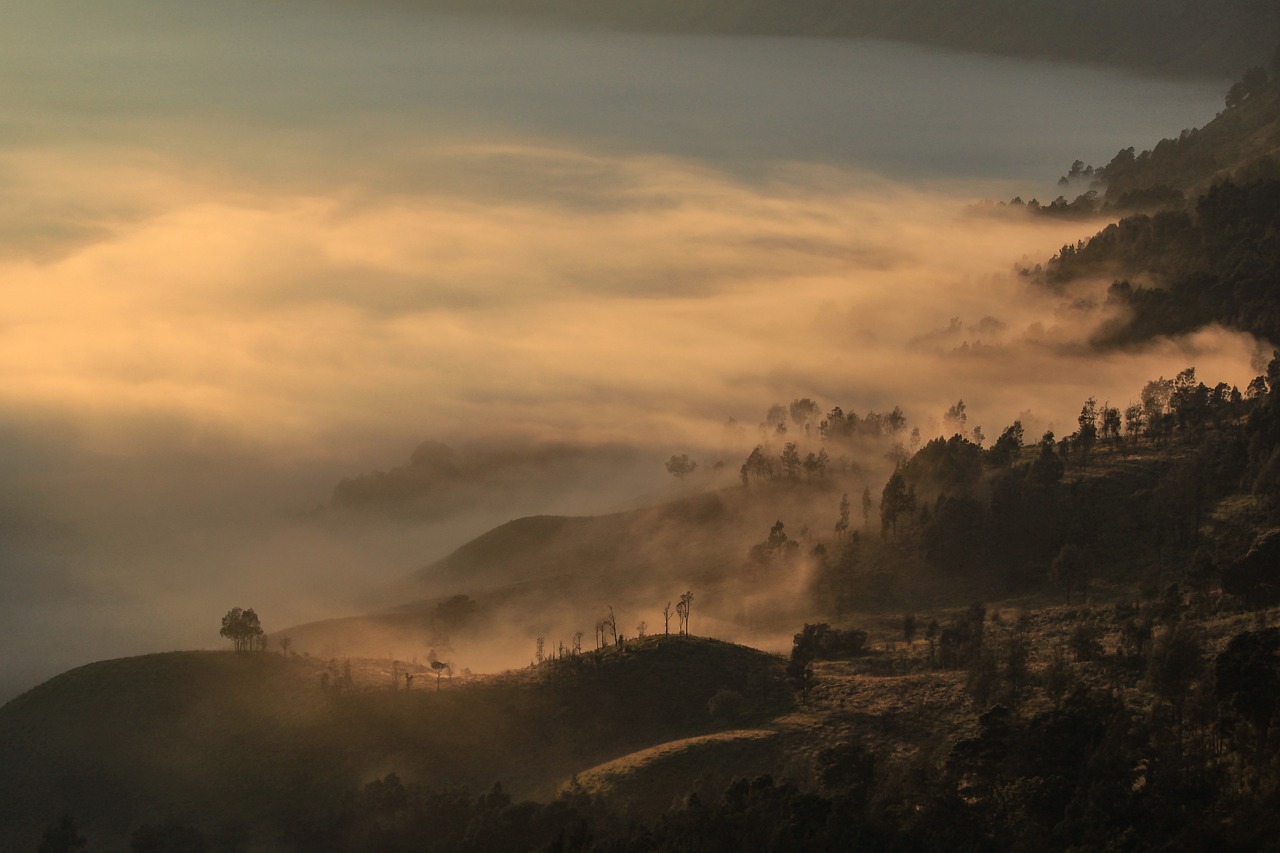 morning dawn fog free photo