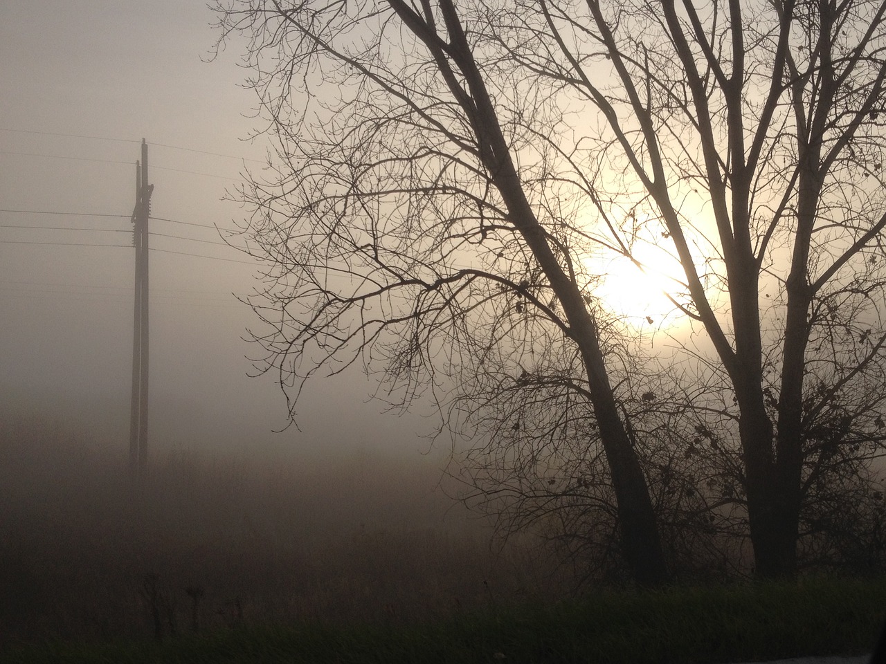 morning fog sun free photo