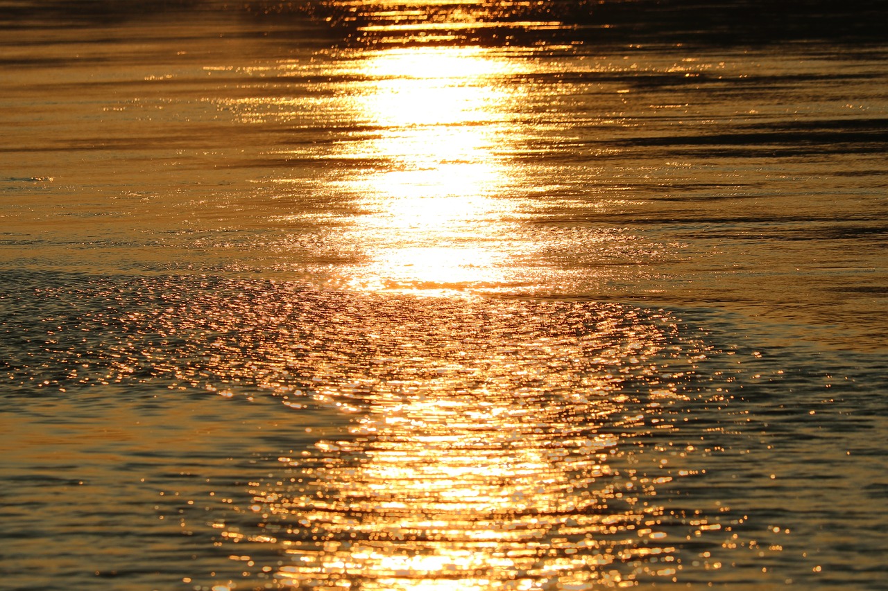 morning water river free photo