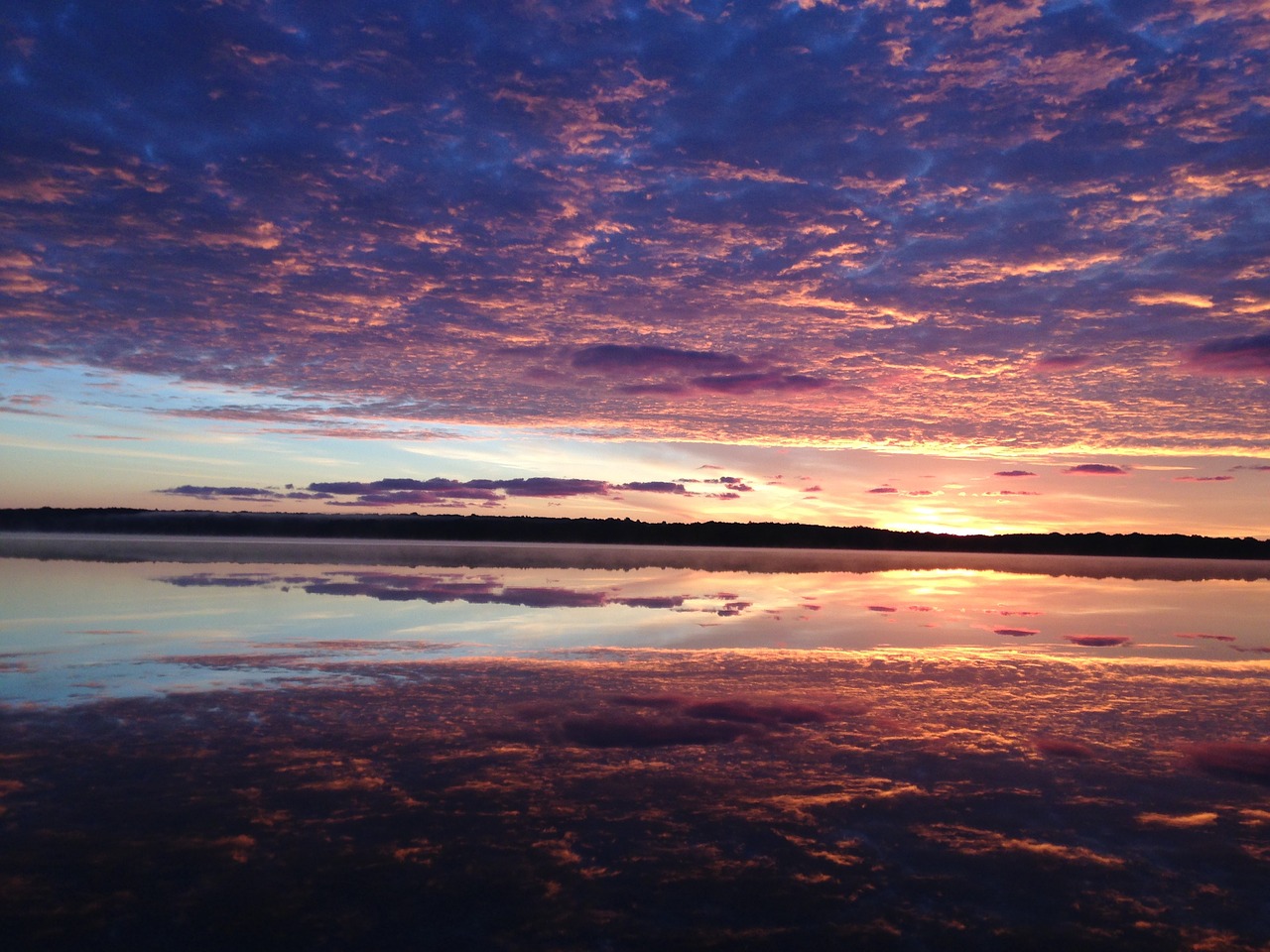 morning pond dawn free photo