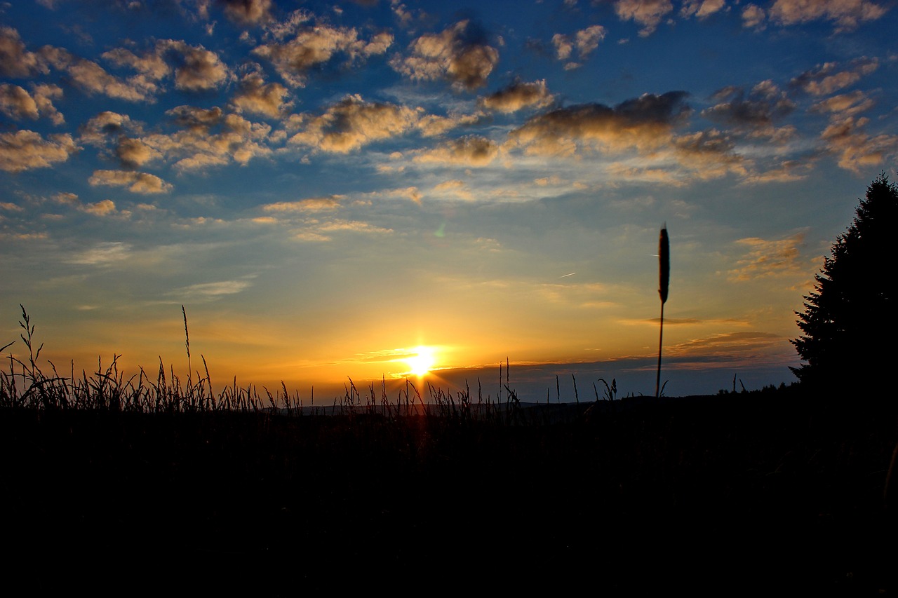 morning nature sky free photo