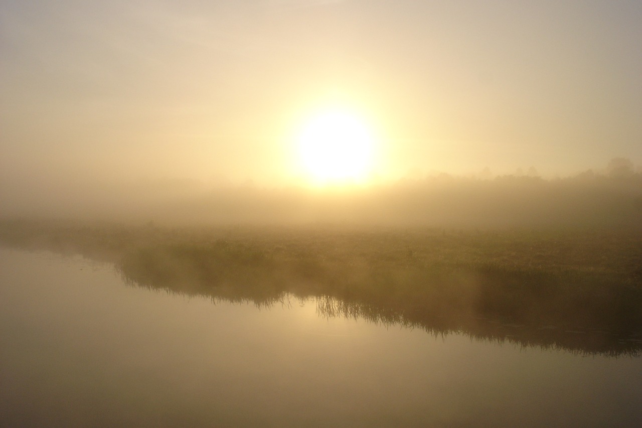 morning fog sun free photo