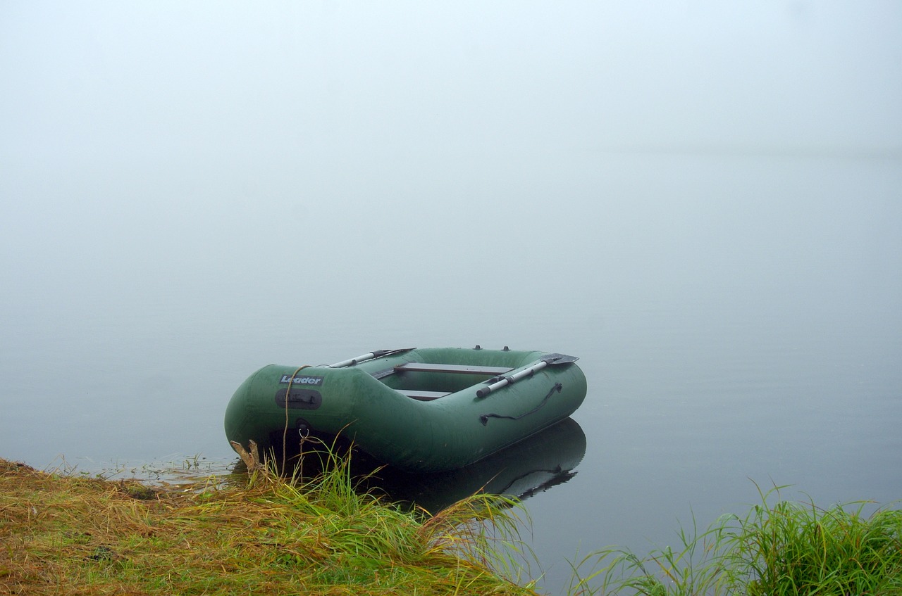 morning fog lake free photo