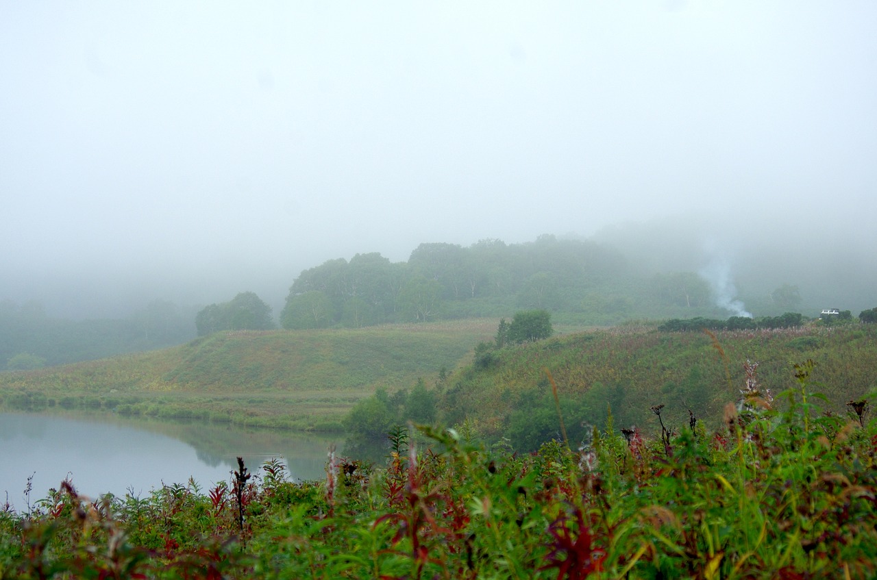 morning lake fog free photo