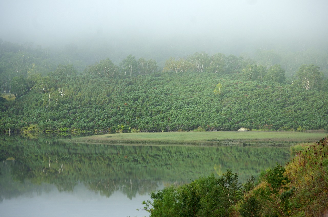 morning lake fog free photo