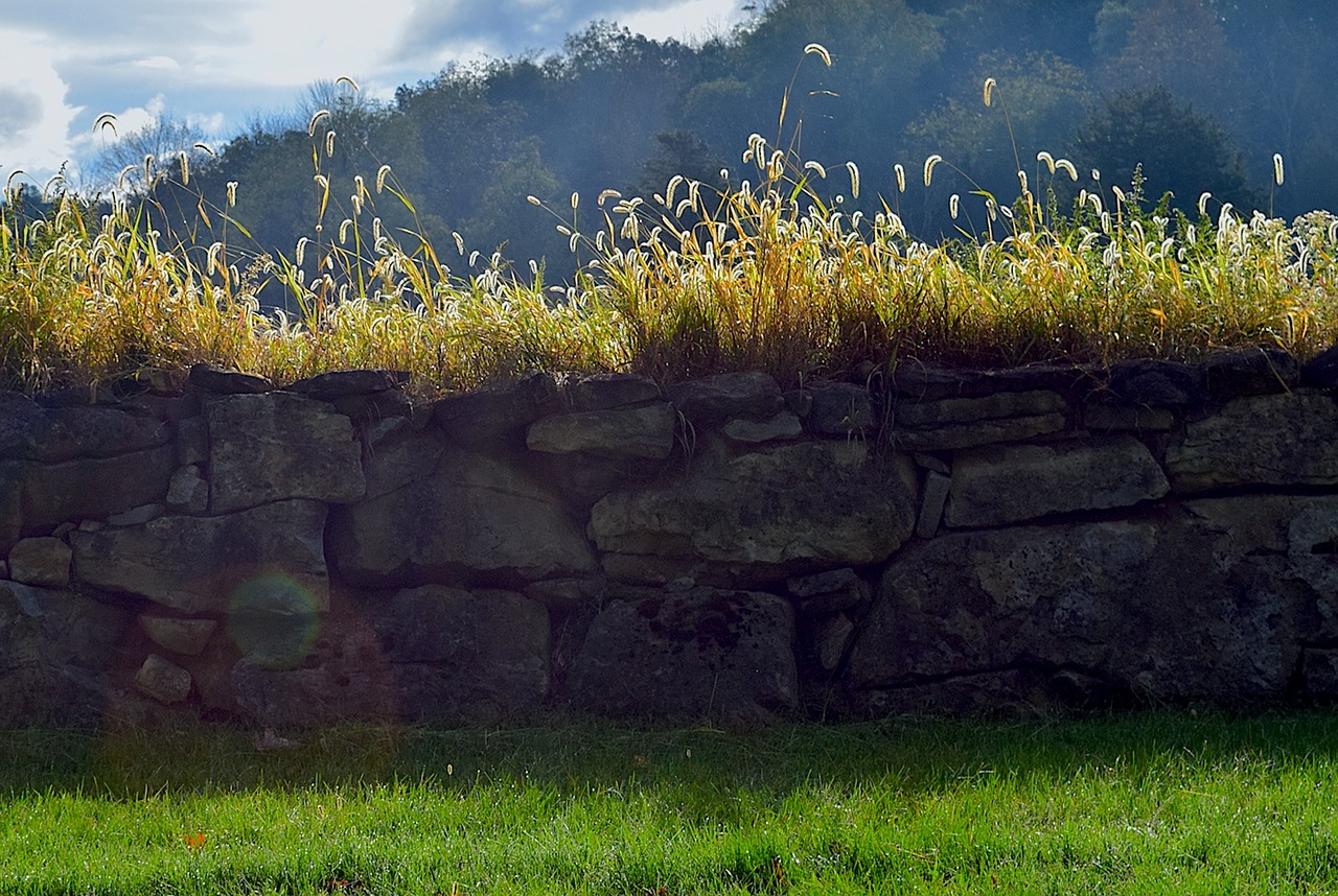 morning stone wall sunlight free photo