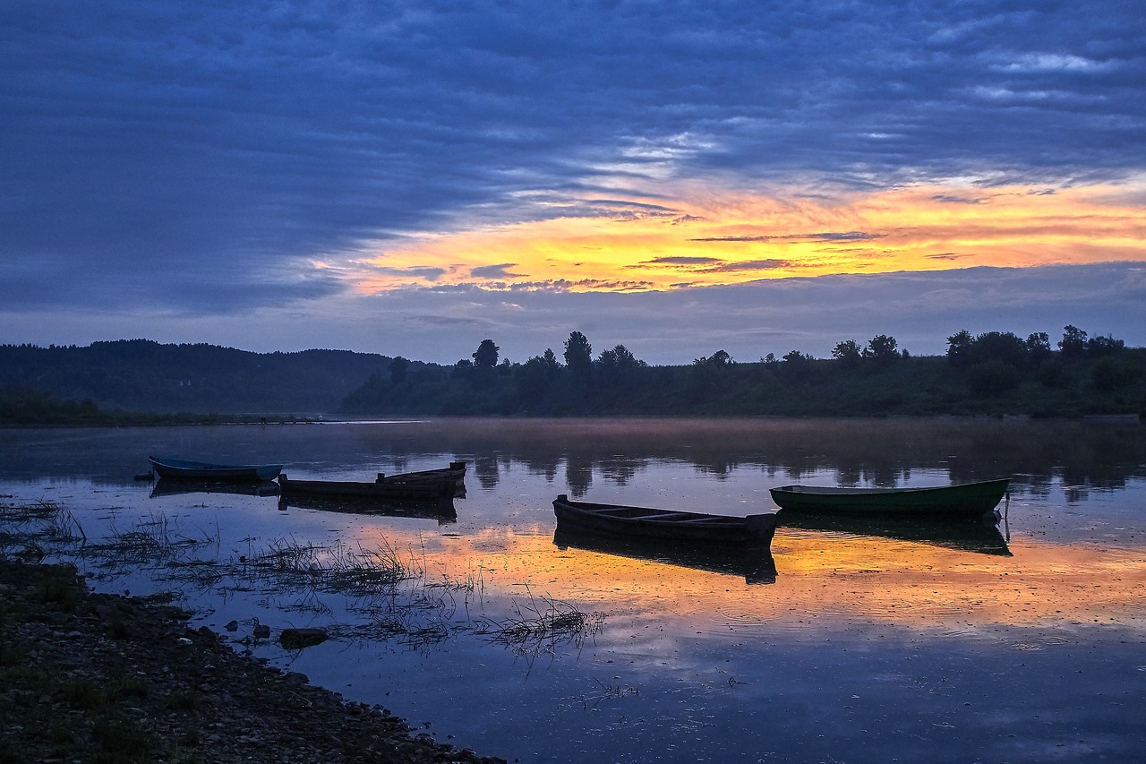 morning fog river free photo