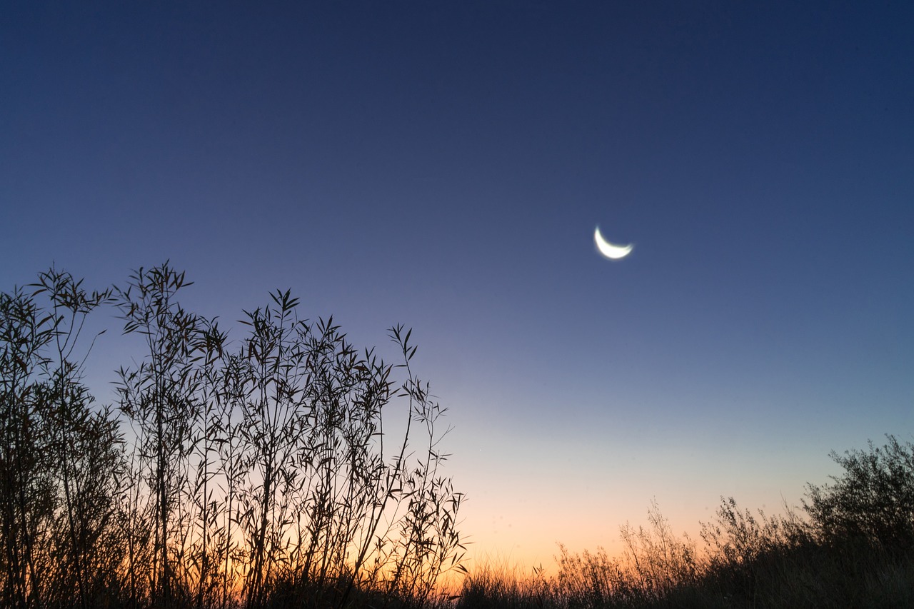 morning moon sunrise free photo