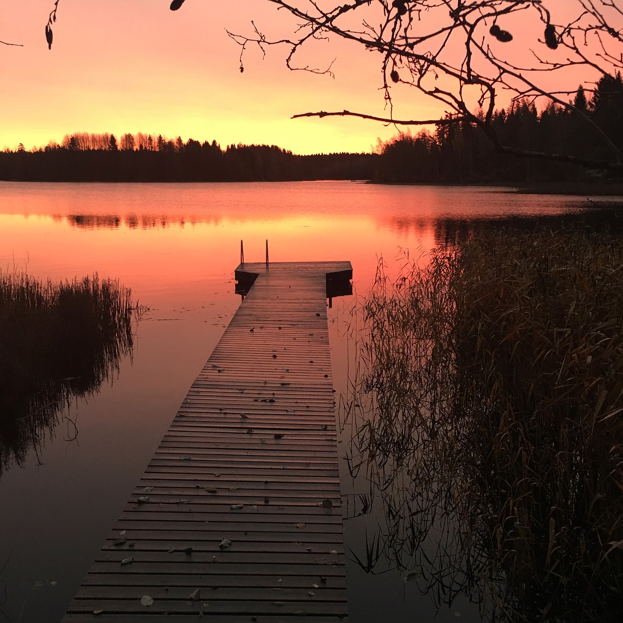 morning sunrise lake free photo