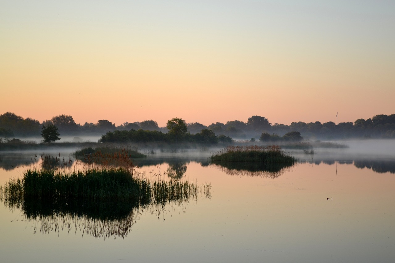 morning water nature free photo