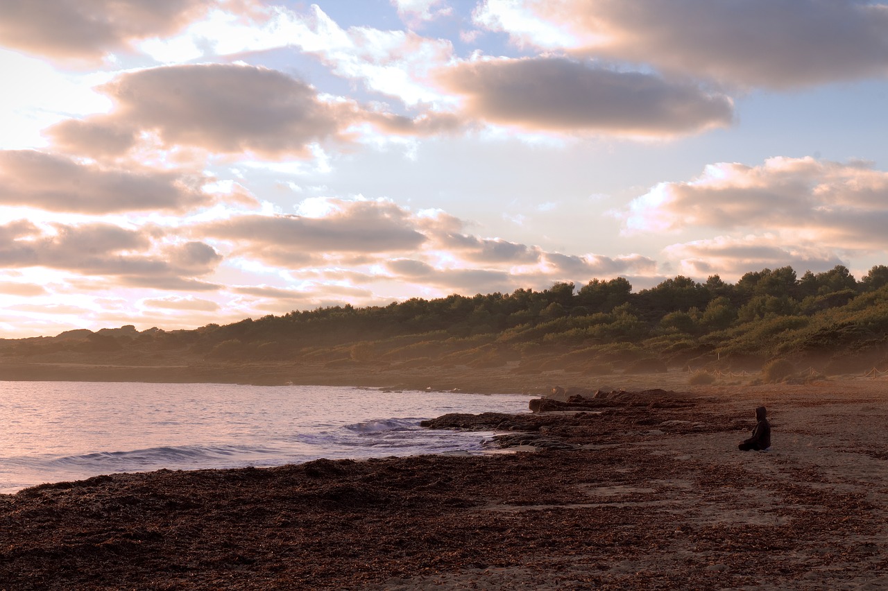 morning beach sun free photo