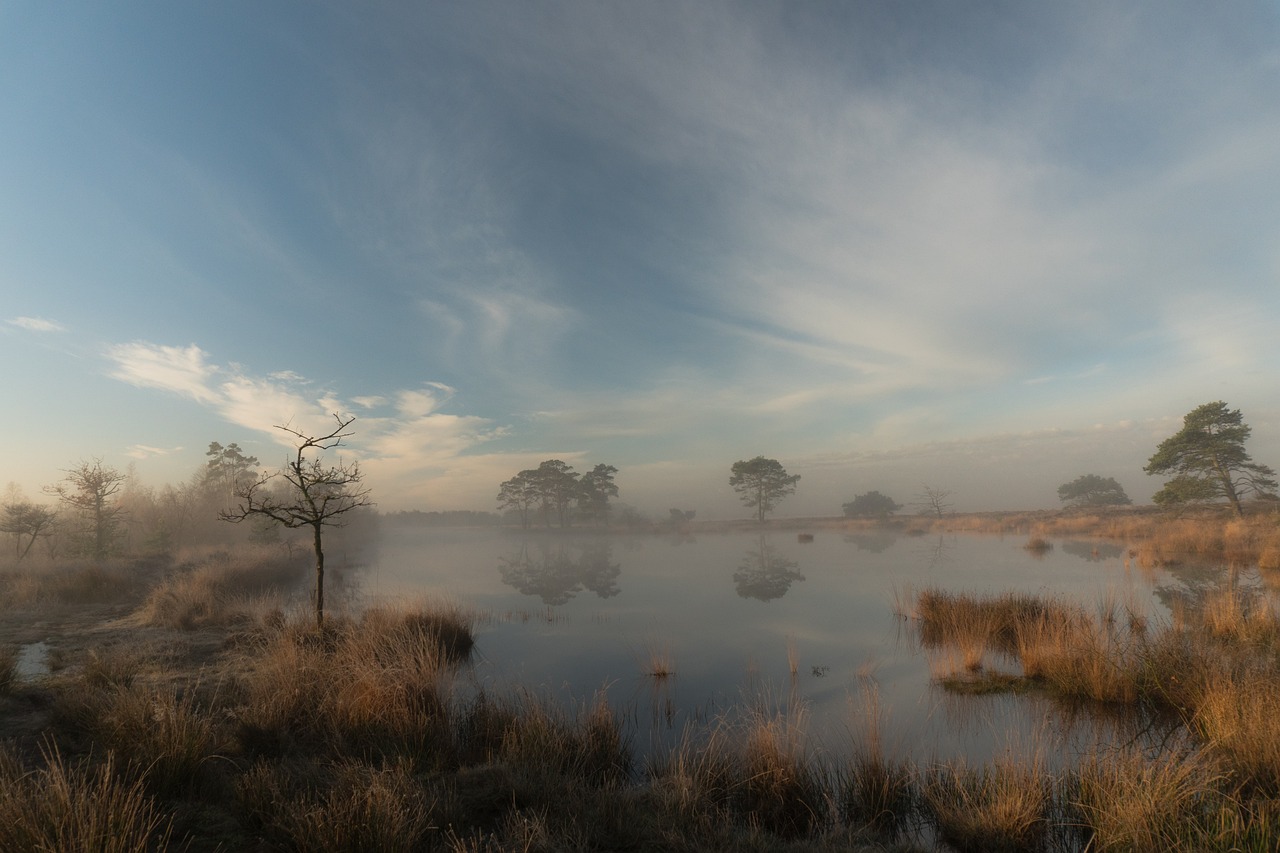 morning sunrise dusk free photo