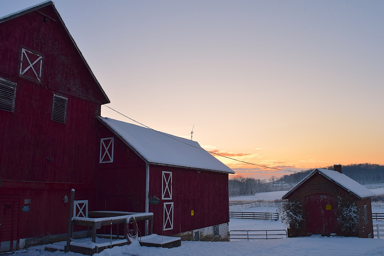 morning barn outdoor free photo