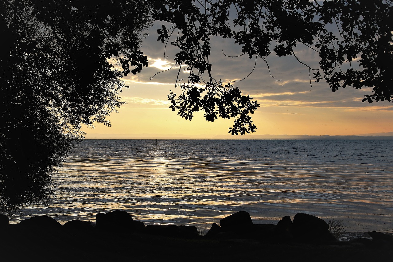 morning  lake  beach free photo