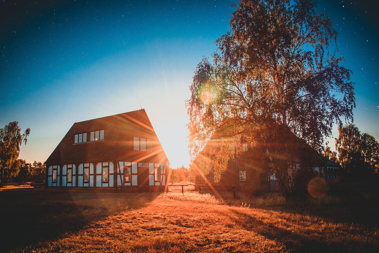 morning  freiberg  star free photo