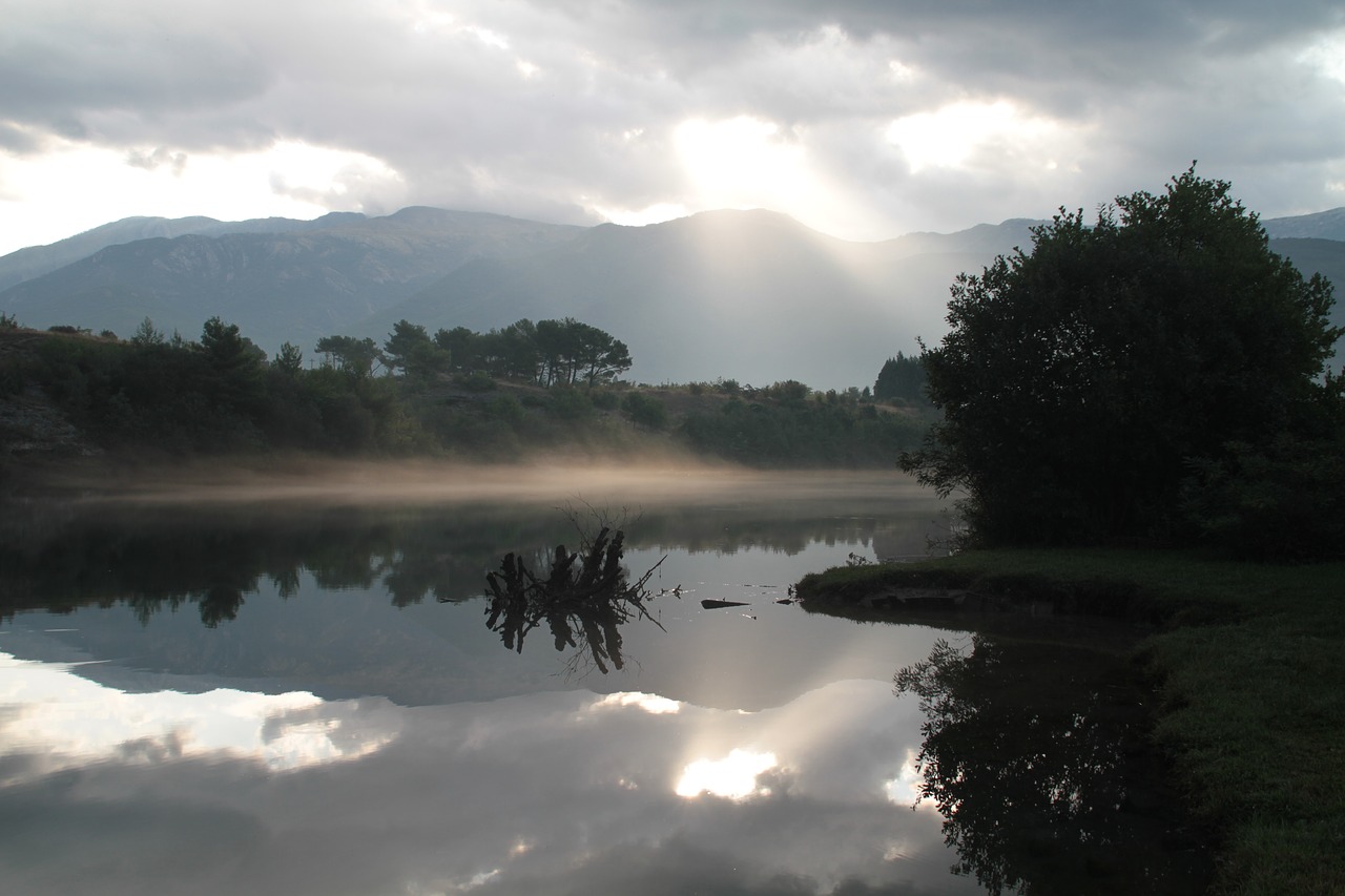 morning  fog  nature free photo