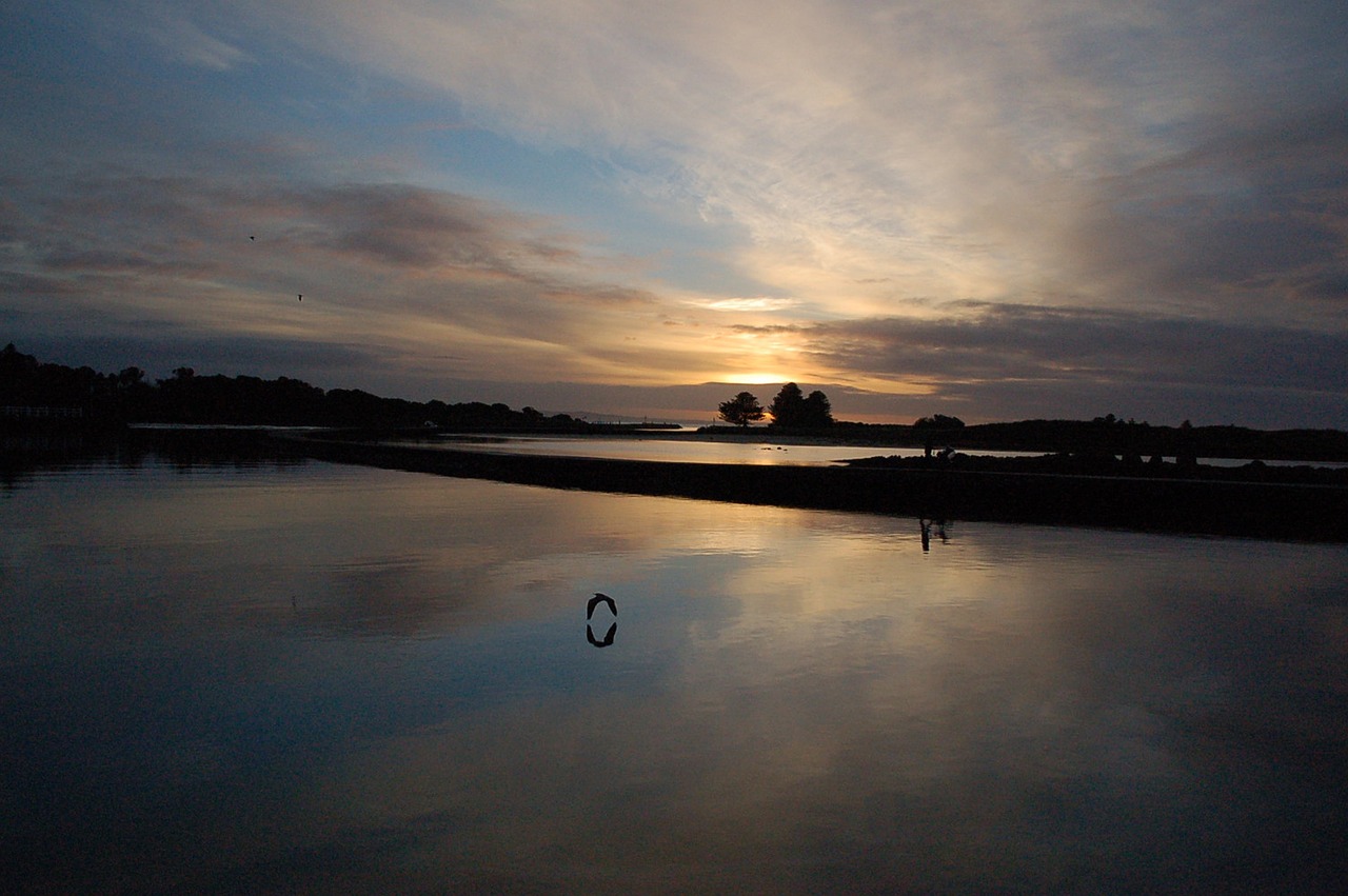 morning  port fairy  dawn free photo