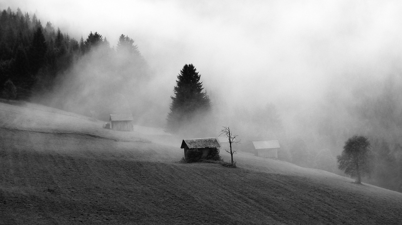 morning  mist  landscape free photo