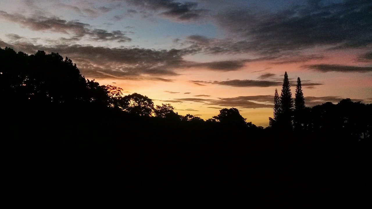 morning  awakening  clouds free photo