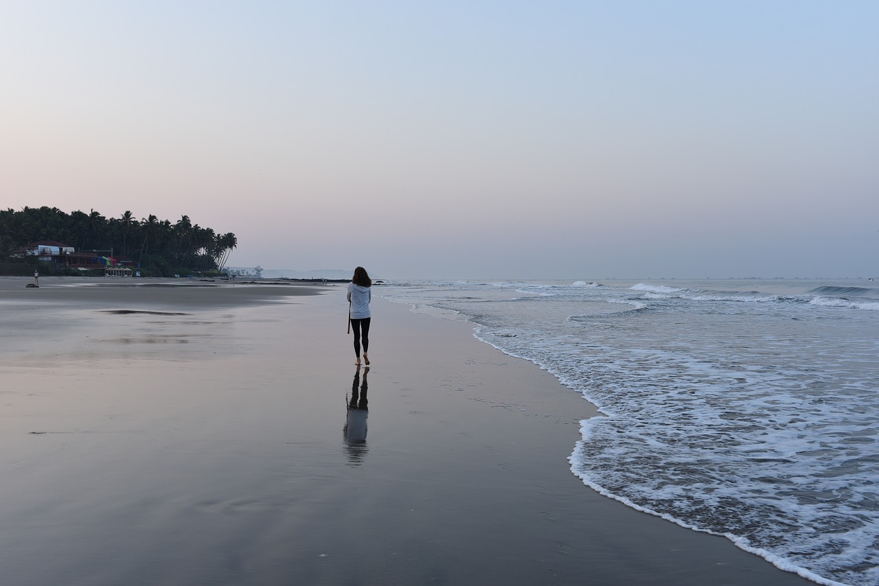 morning  sunrise  sea free photo