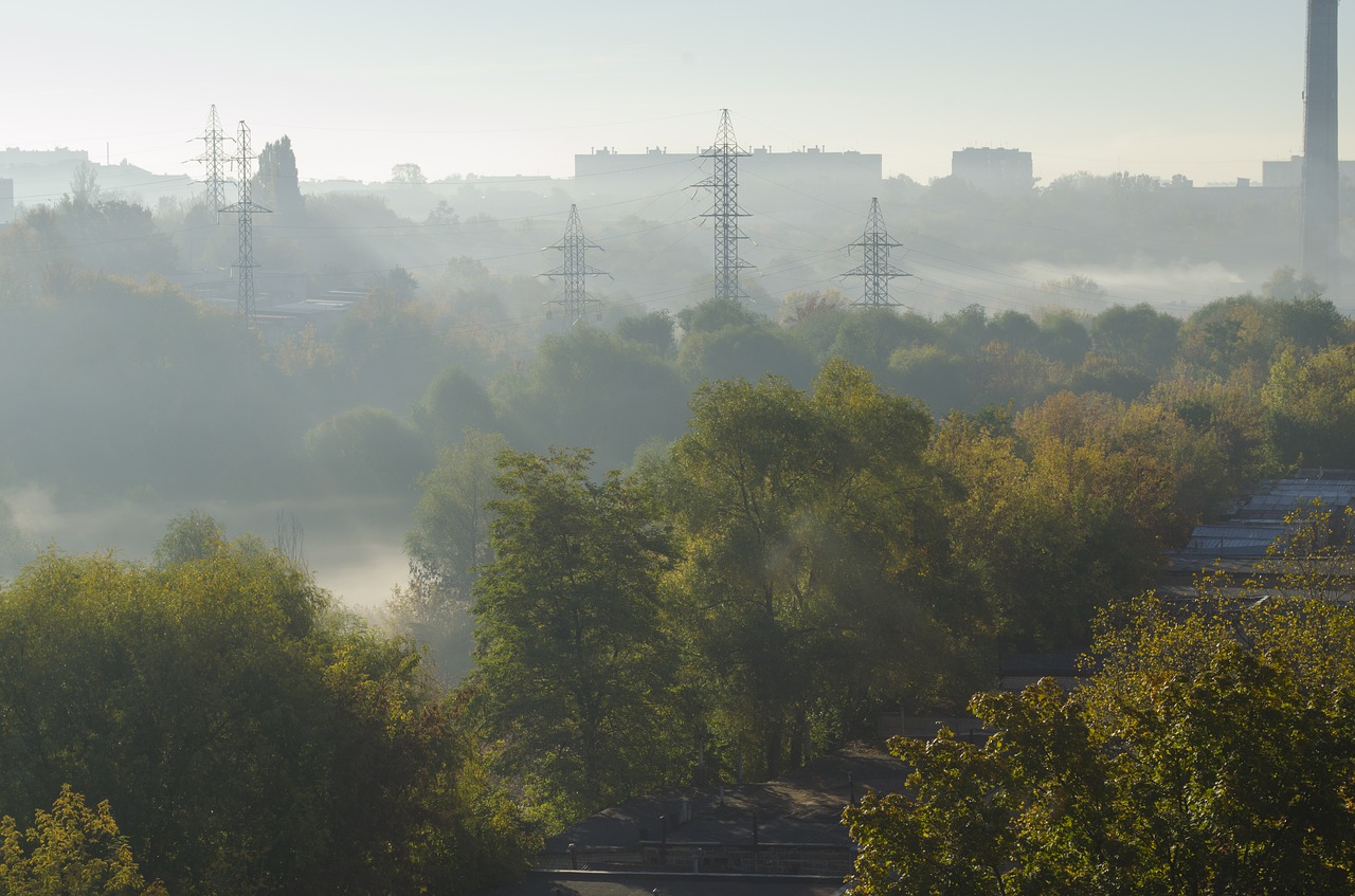 morning  dawn  fog free photo