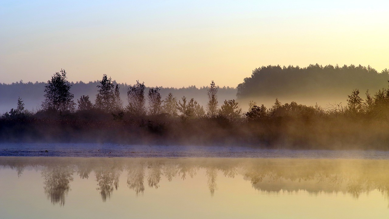 morning  dawn  landscape free photo