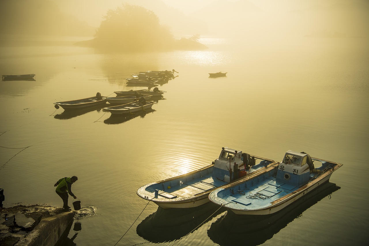 morning  sea  fisherman free photo