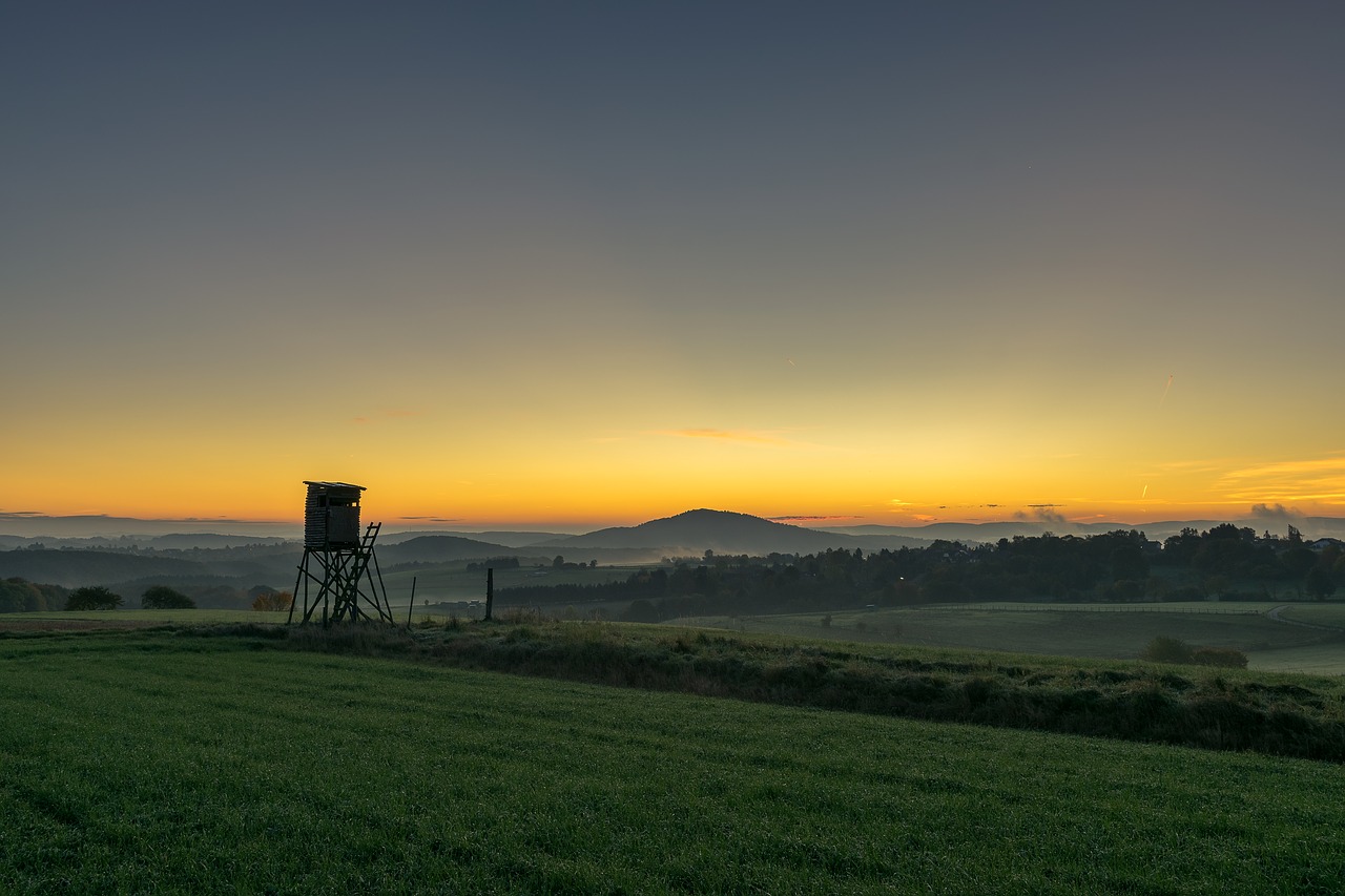 morning  sky  sunrise free photo