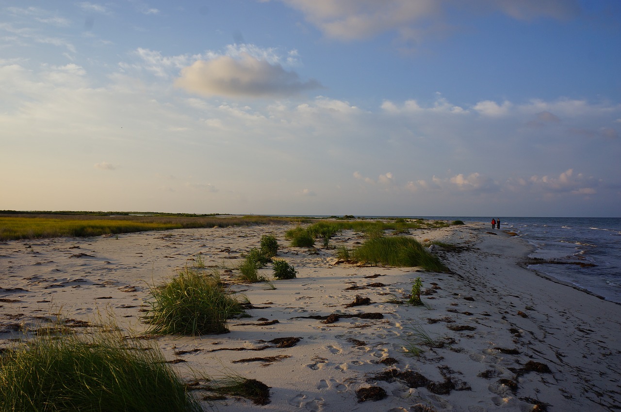 morning beach sunrise free photo