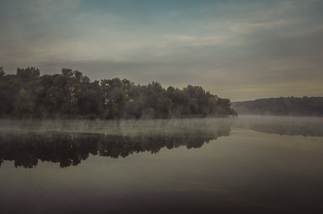morning mist river free photo