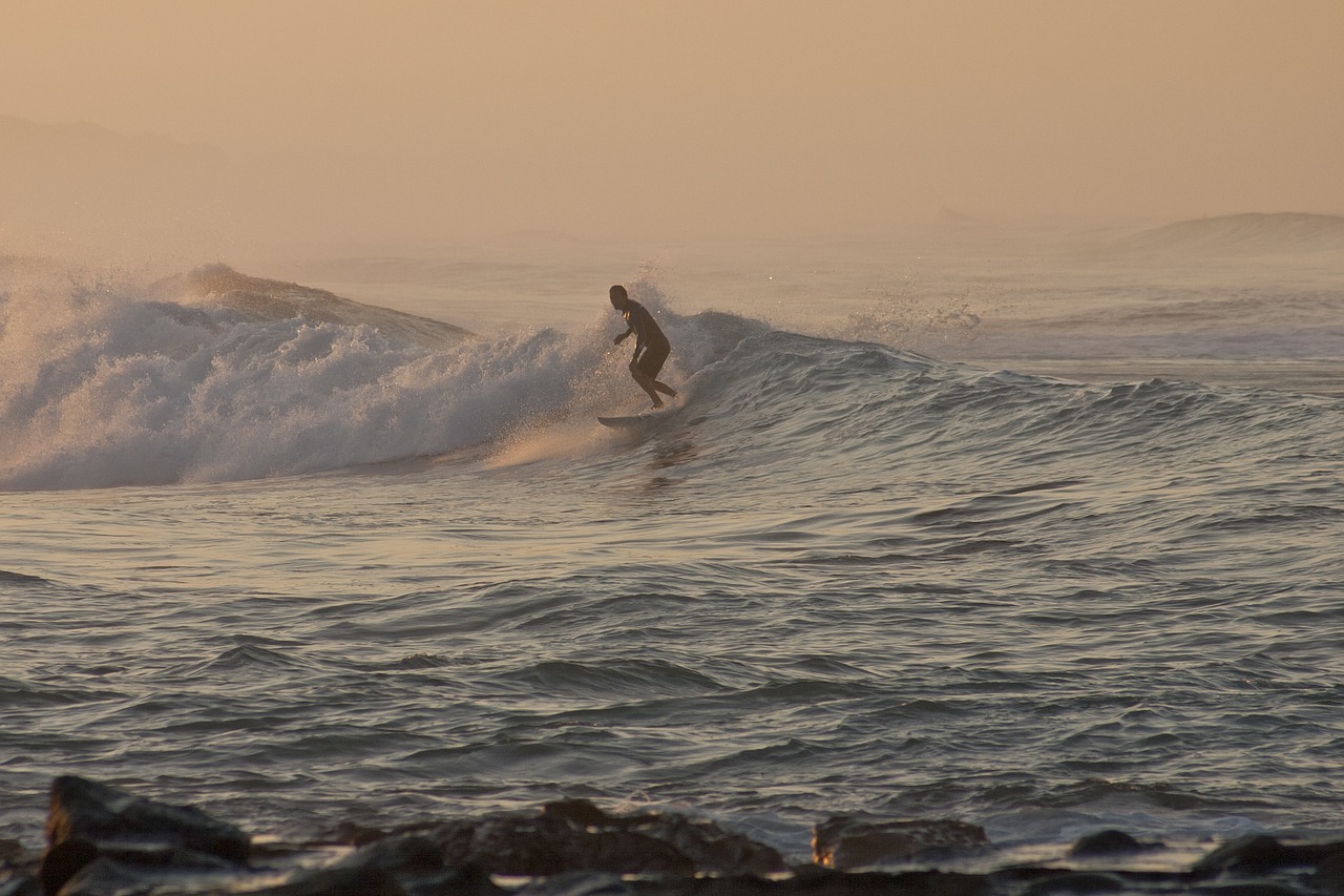 morning surfer beach free photo