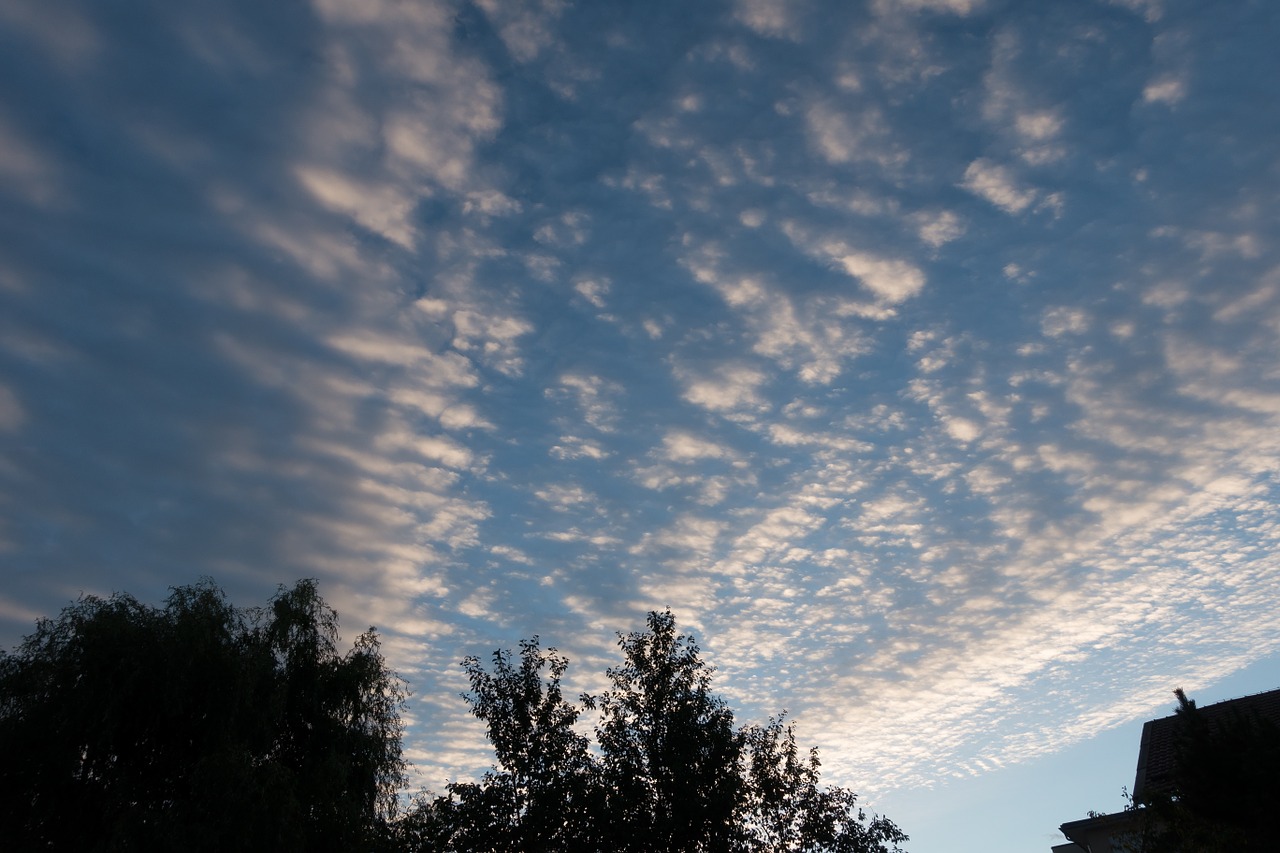 morning sunrise sky free photo