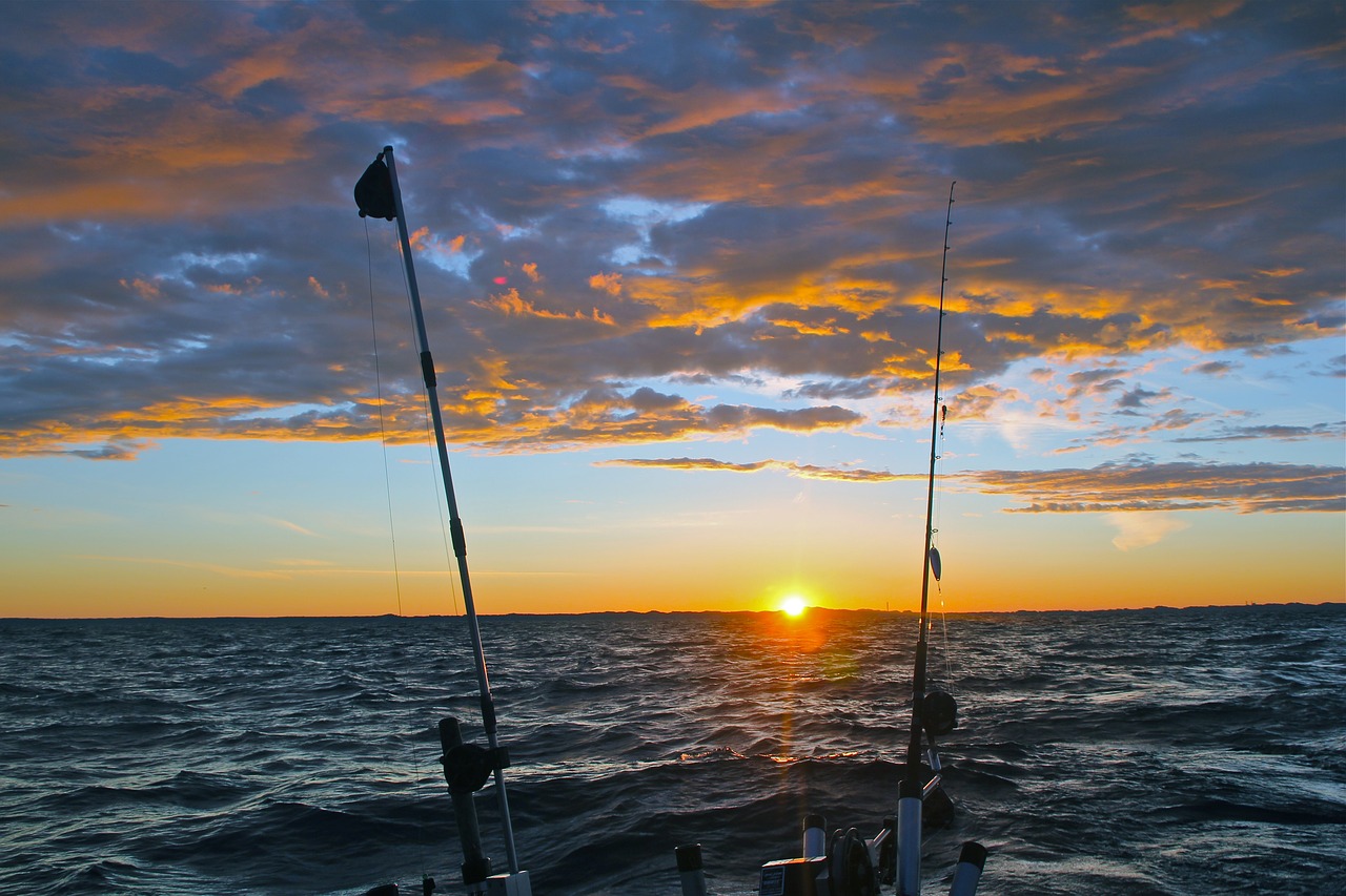 morning fishing fishing sunrise free photo