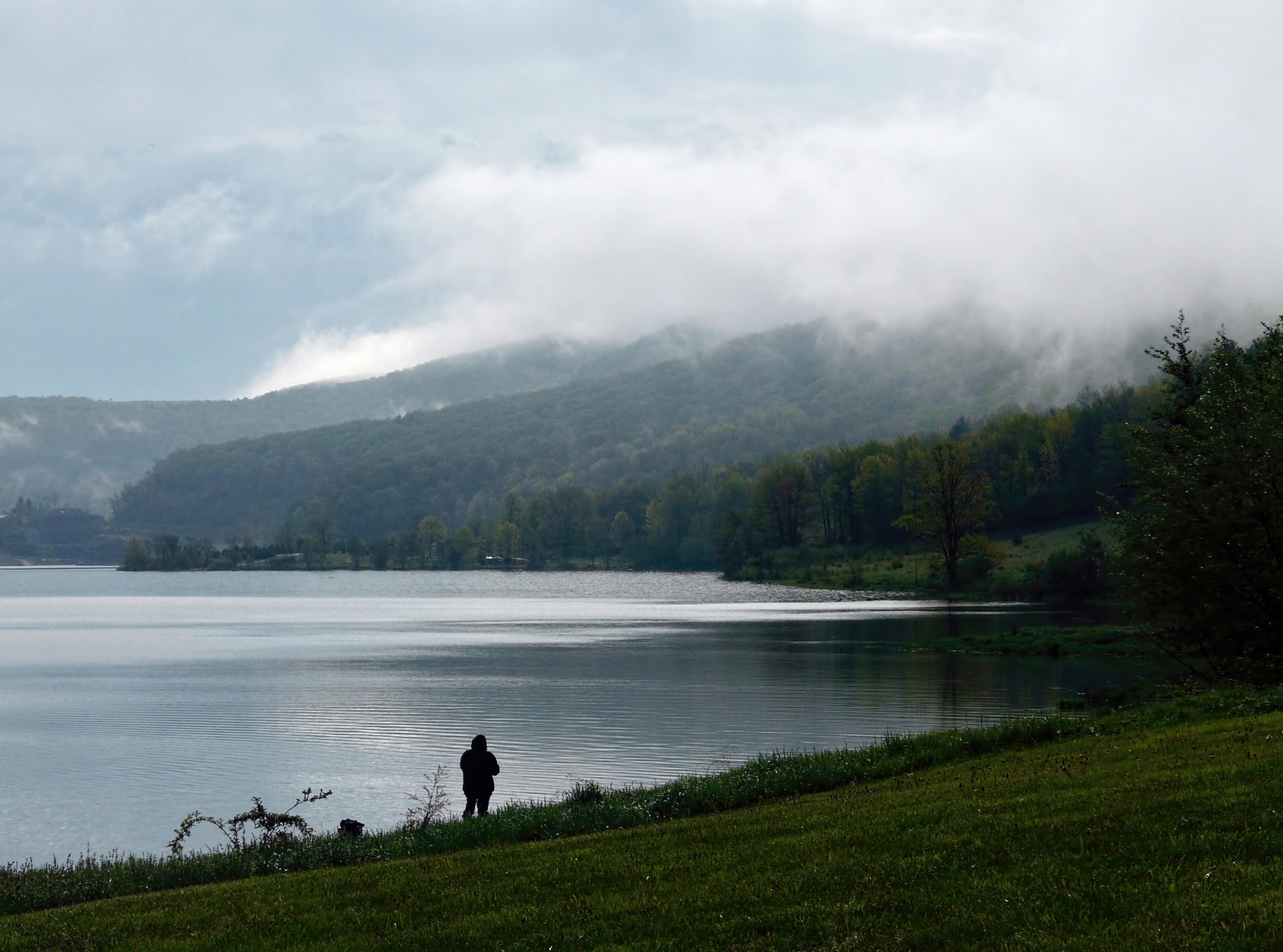 morning fog waterscape free photo