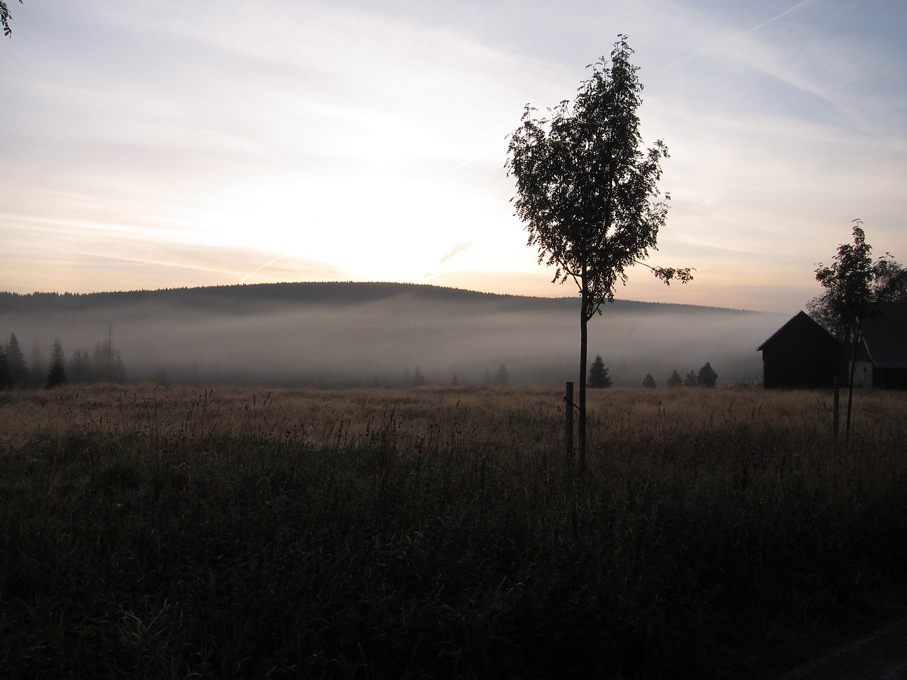 morning fog awakening jizerka free photo